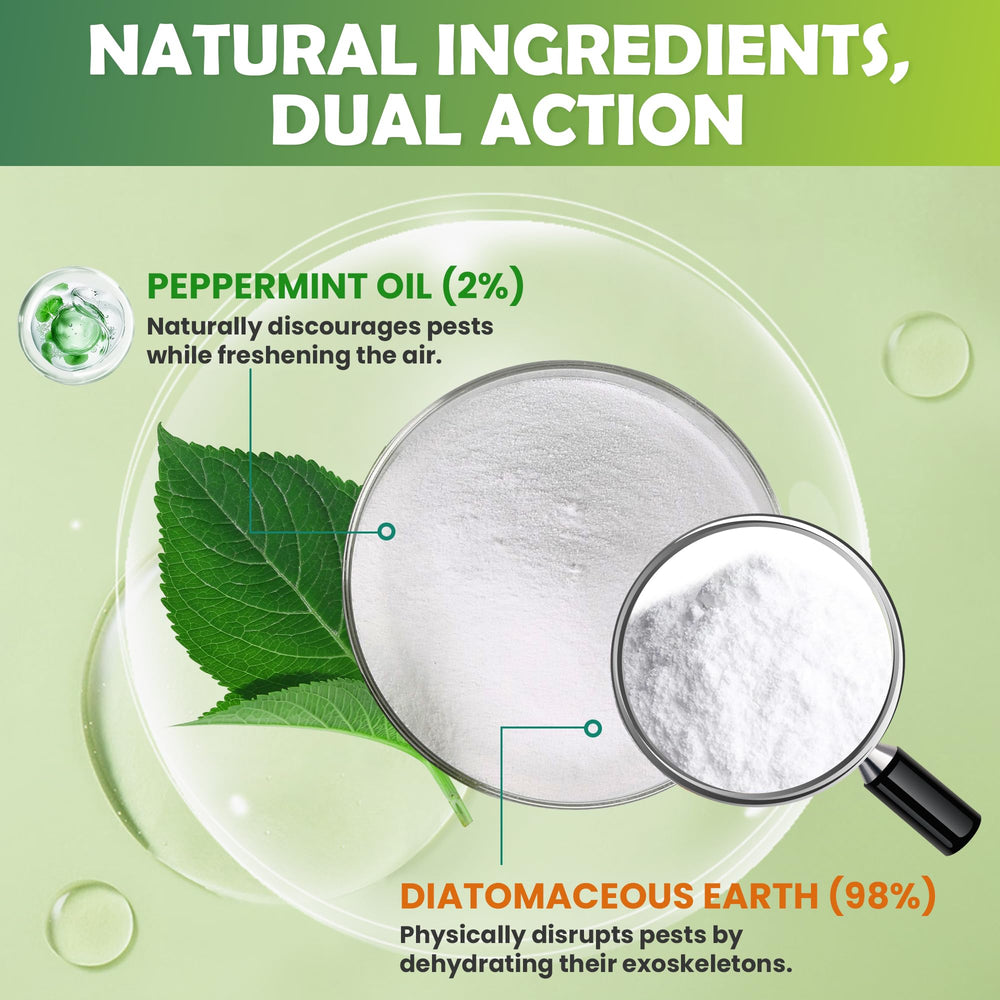 RobiGuard powder closeup: pure diatomaceous earth with peppermint edge for indoor use.