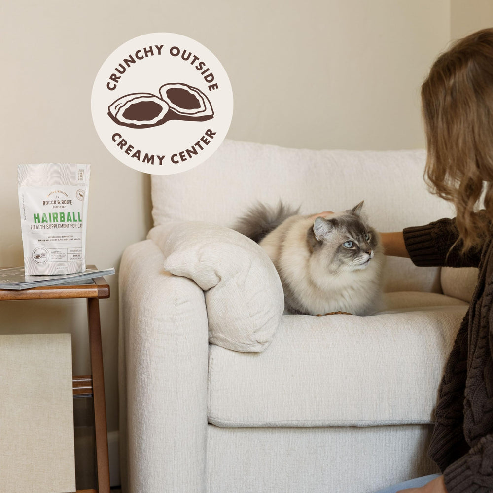 Rocco & Roxie hairball treats cat-eating scene, delicious chicken flavor preferred by cats.