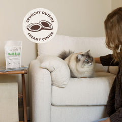 Rocco & Roxie hairball treats cat-eating scene, delicious chicken flavor preferred by cats.