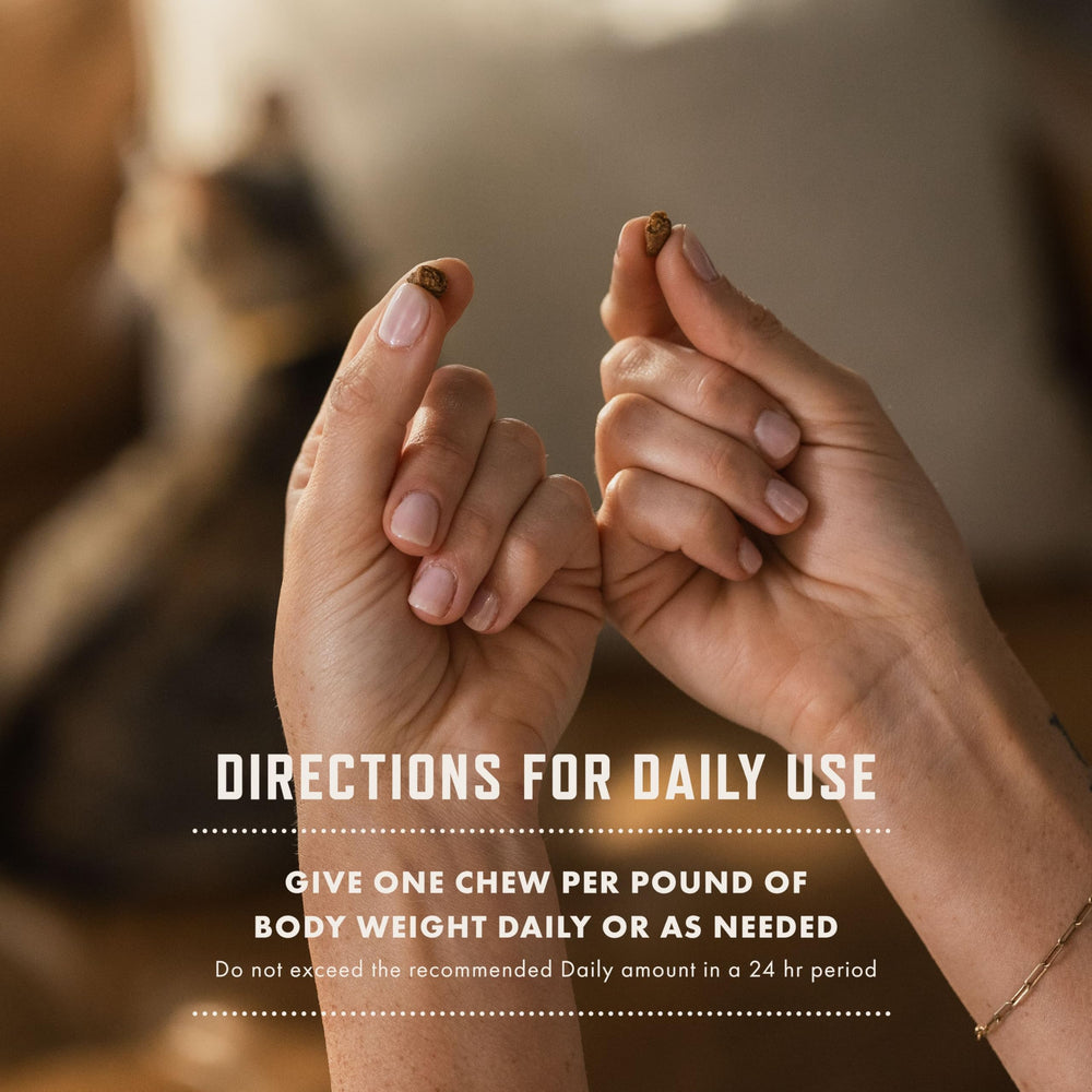 Rocco & Roxie hairball treats digestive health icons, suggesting simple daily use.