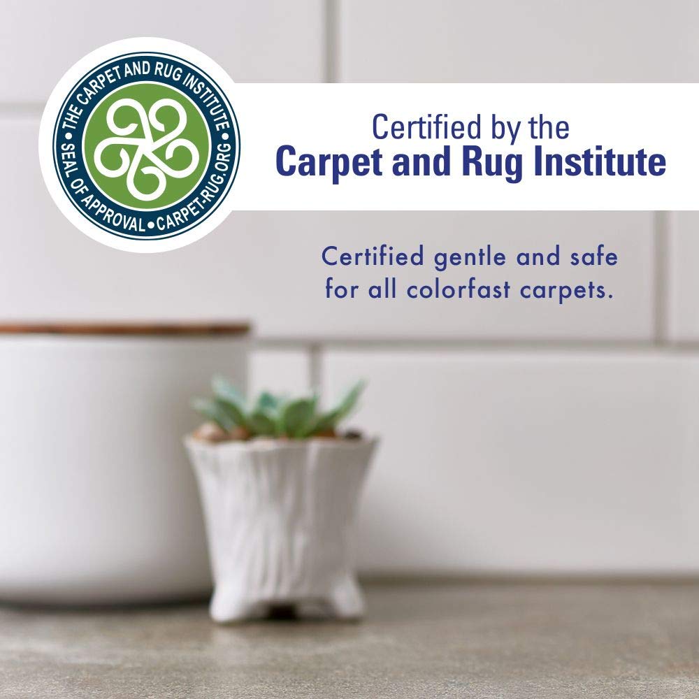 Rocco & Roxie used on common pet areas for versatile cleaning