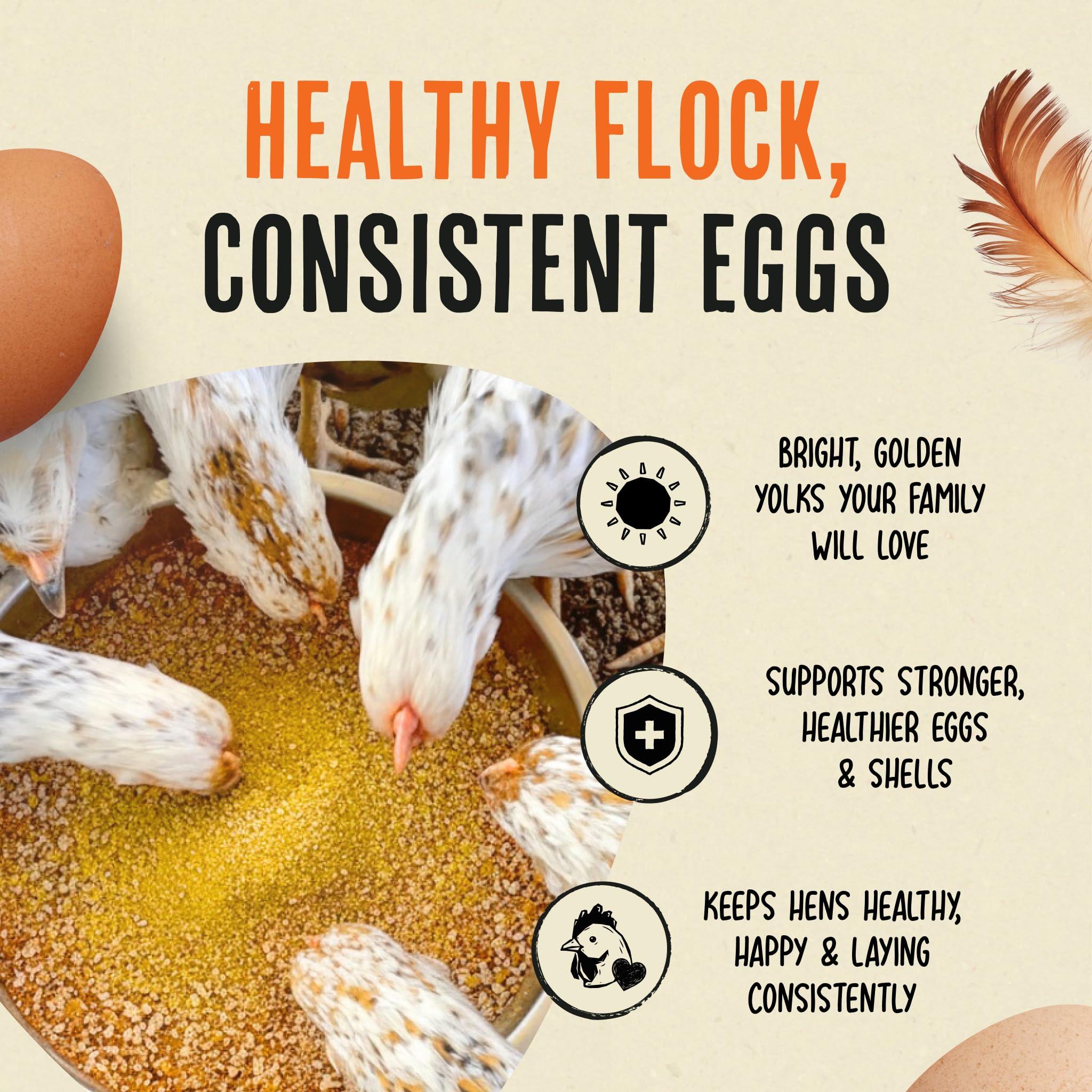 Eggs with stronger shells and vibrant color from Roosty's formula