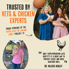 Chickens drink water with Roosty's booster for easy daily administration.