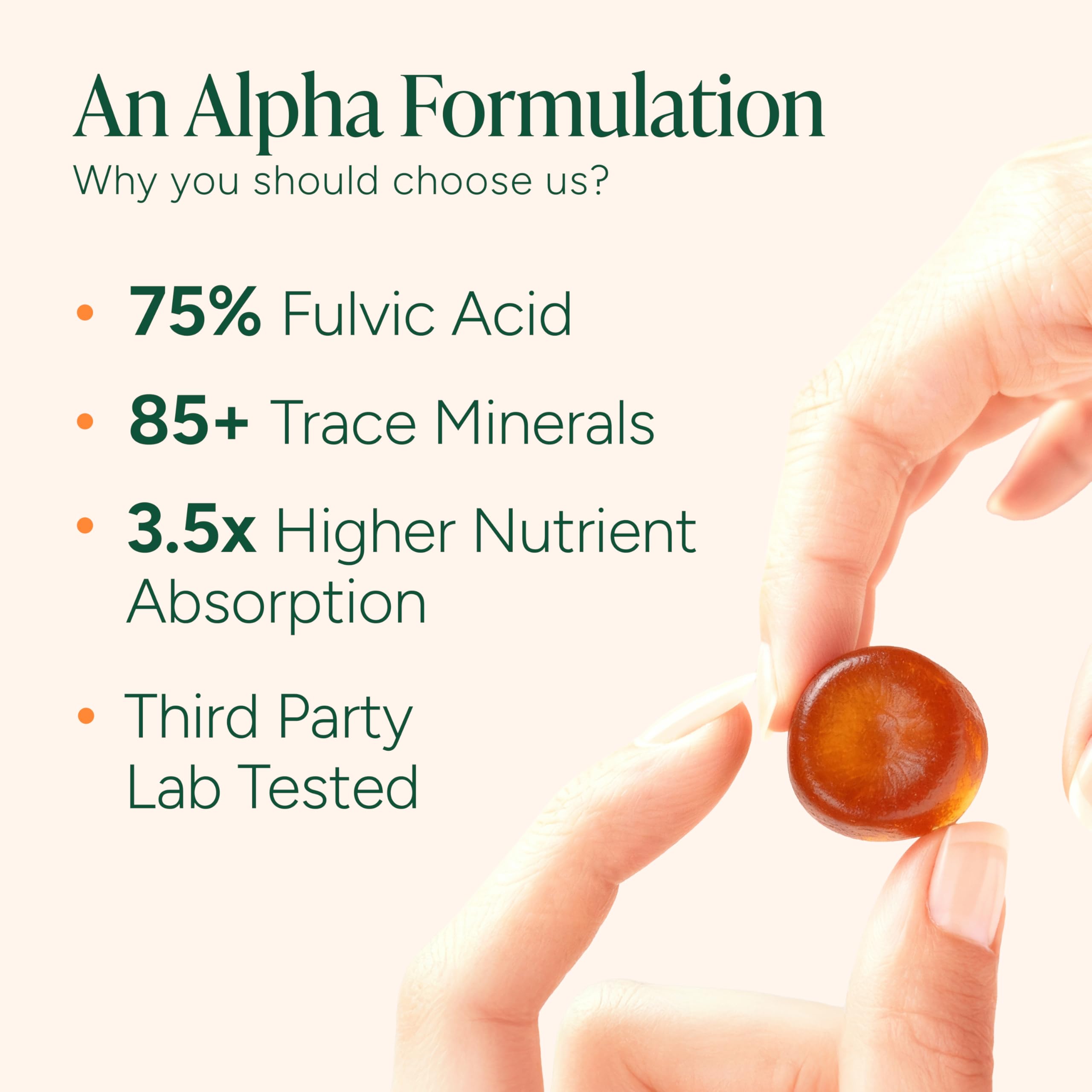 ROOT LABS Alpha Shilajit Gummies maca and tongkat ali blend supports daily energy.