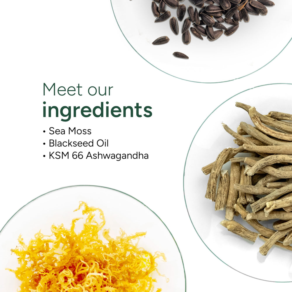 ROOT LABS Sea Moss Gummies ingredients layout with sea moss, ashwagandha, and black seed oil