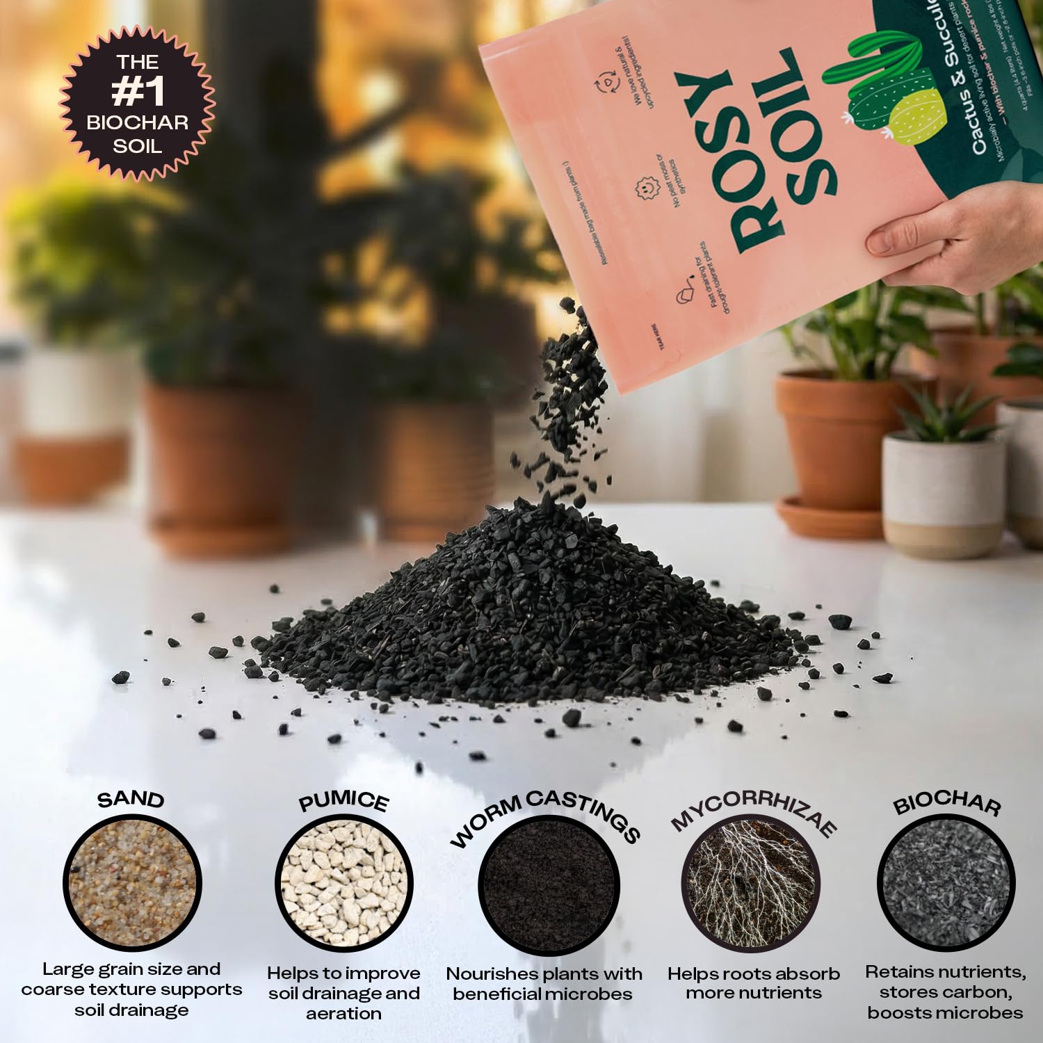 Rosy Soil easy-planting-instructions guide potting succulents with confidence.