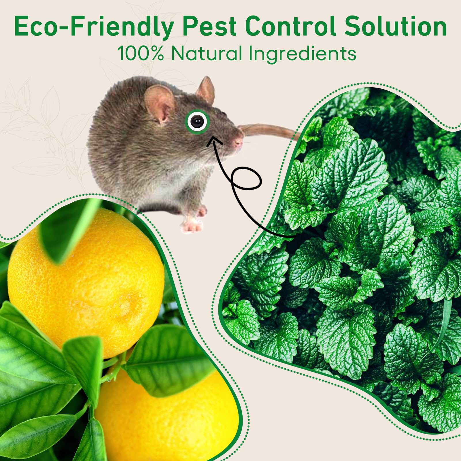 ROTIAH repellent in kitchen corner deters mice.