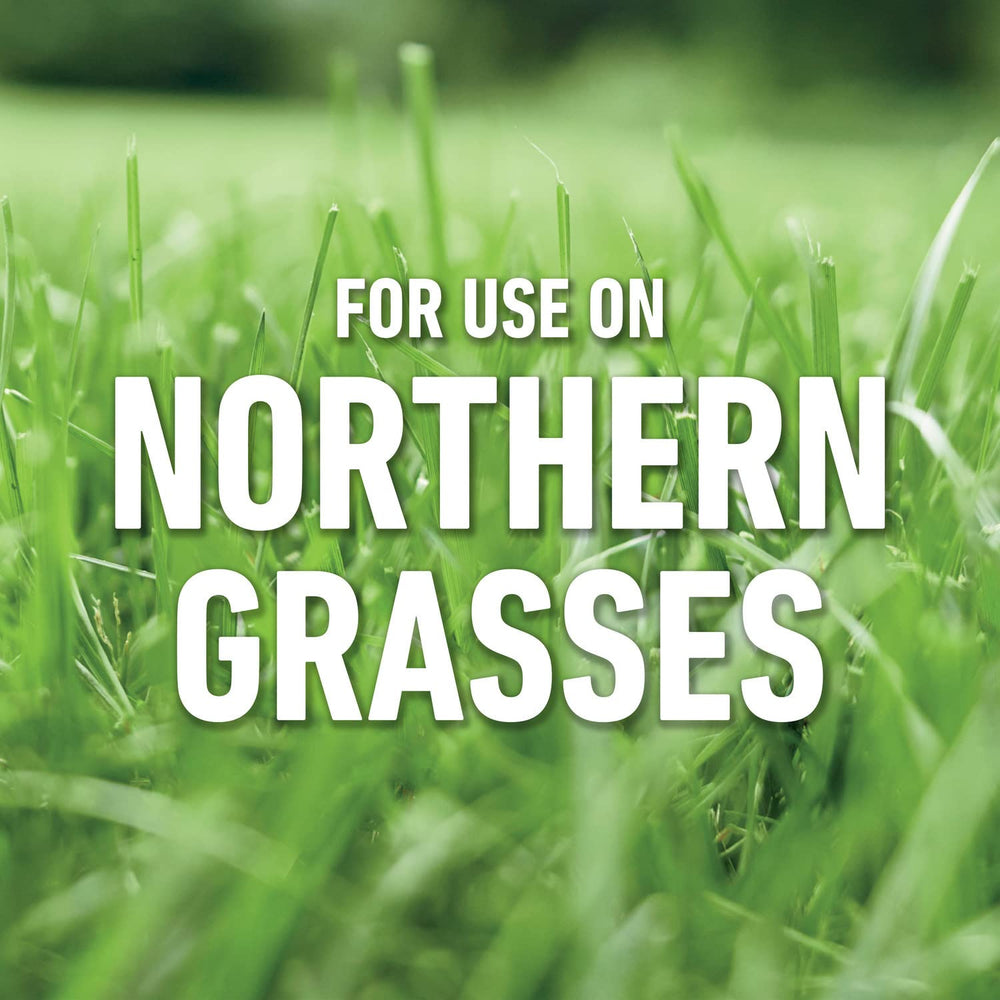 Roundup For Lawns₂ weed-kill application helps control crabgrass and other weeds.
