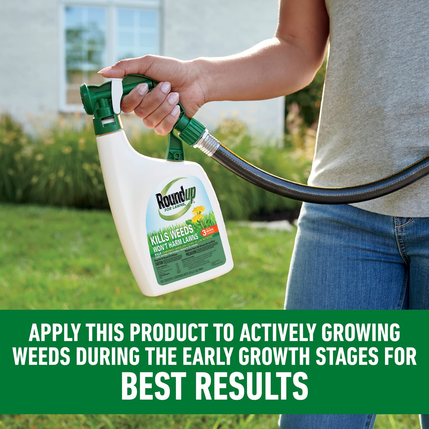 Roundup For Lawns3 targets crabgrass, dandelion, and purslane in lawn