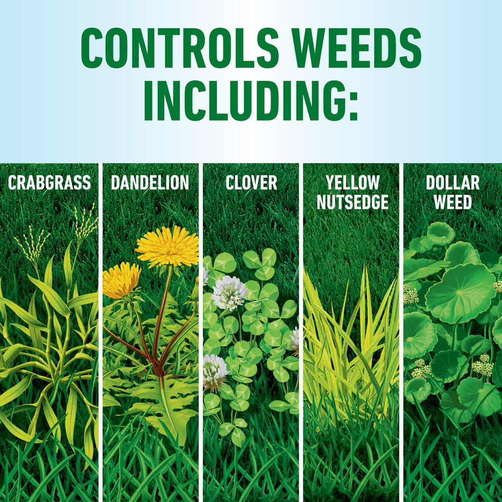Roundup For Lawns3 compatible with northern grasses like bluegrass and fescues