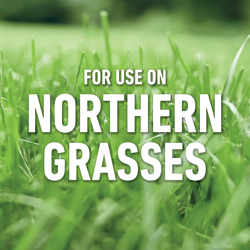 Roundup for Lawns₁ bluegrass lawn application demonstrated on Northern grasses.