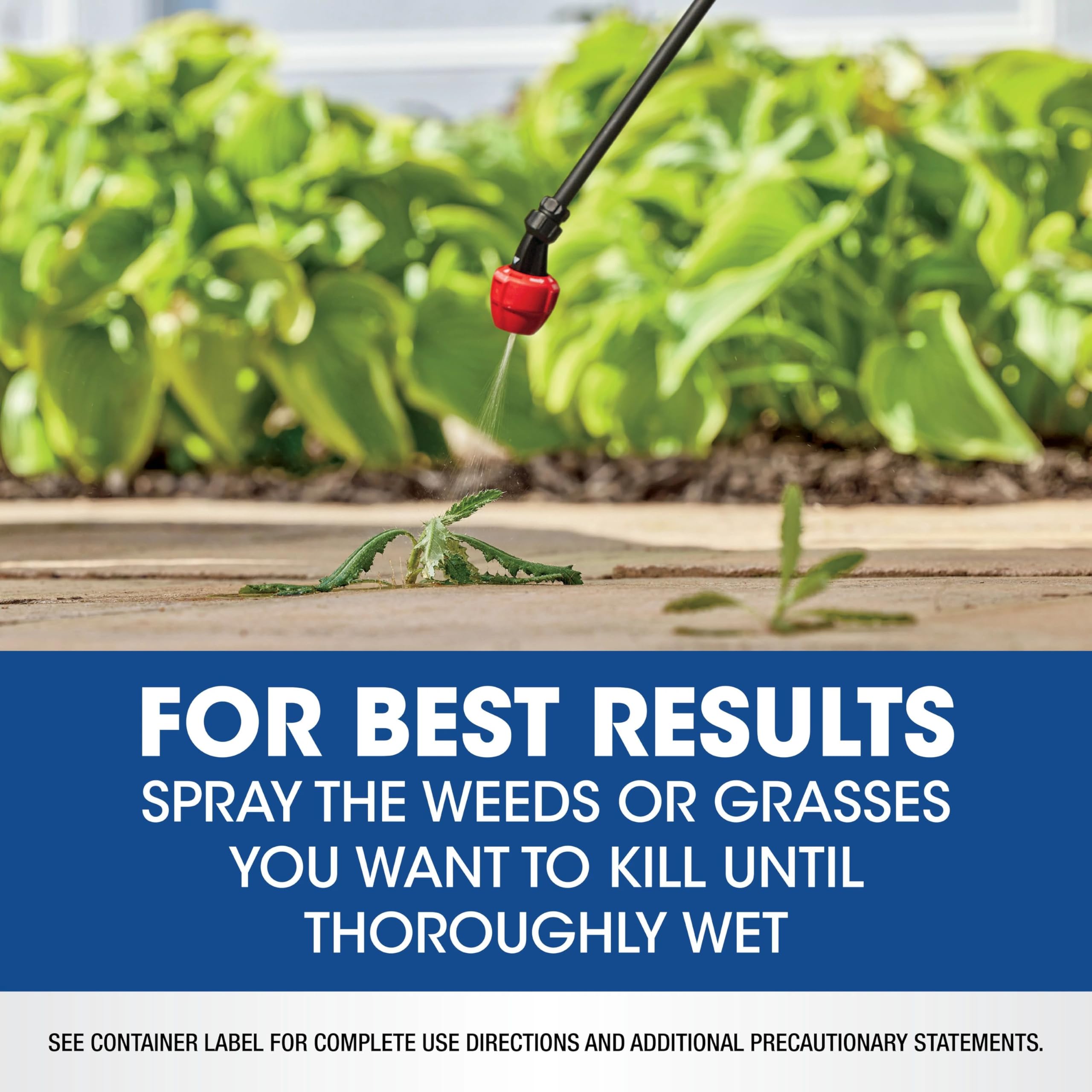 Roundup bottle showing coverage over 300 sq ft per application