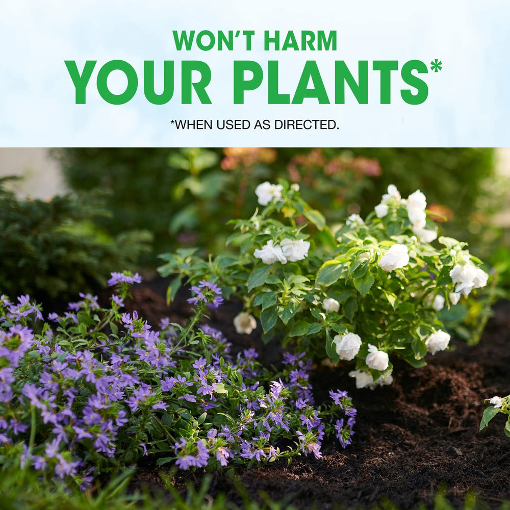 Roundup Weed Barrier Granules activation by watering shows barrier activation.