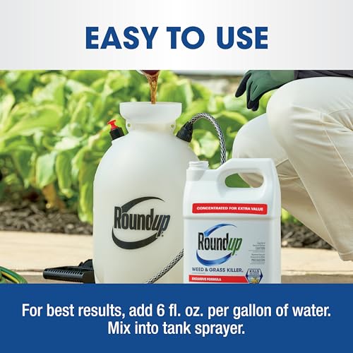 Large-area yard treatment for lawn replacement with Roundup.