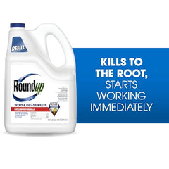 Roundup Weed & Grass Killer4 refill pour action into container for easy setup.