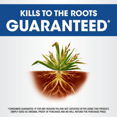 Roundup Weed & Grass Killer₄ spray along a flower bed edge.
