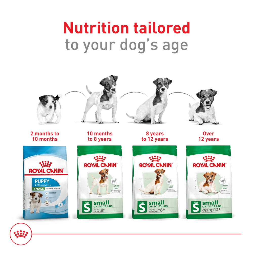 ROYAL CANIN 30 lb bag packaging ready for regular meals.