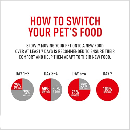 Royal Canin adult dry dog food serving image for everyday wellness.