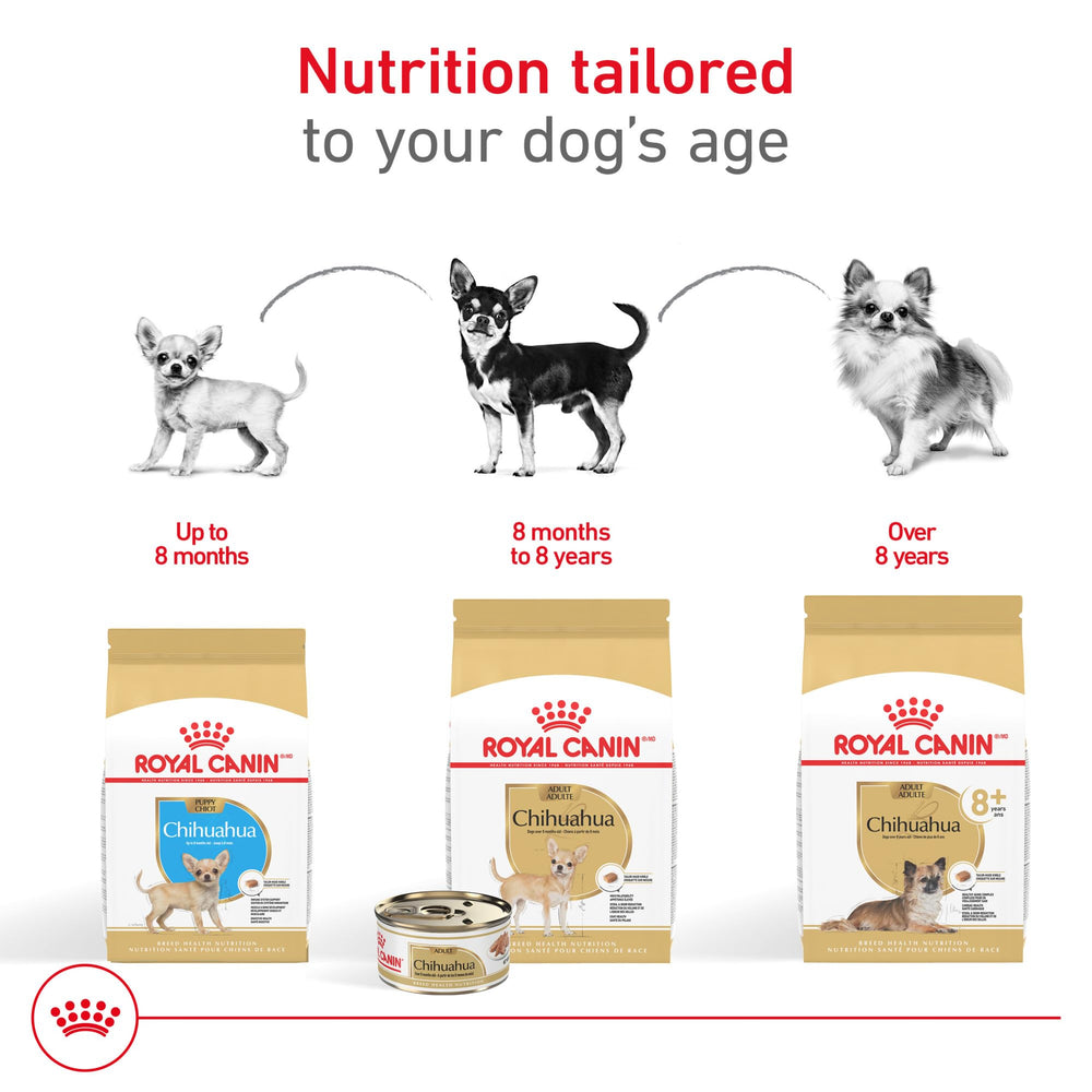 Royal Canin Chihuahua Loaf closeup highlights soluble and insoluble fibers