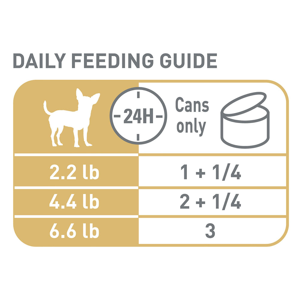 Royal Canin Chihuahua Loaf served with dry food to mix and vary meals