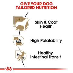 Royal Canin Chihuahua loaf in gravy serving bowl ready to eat