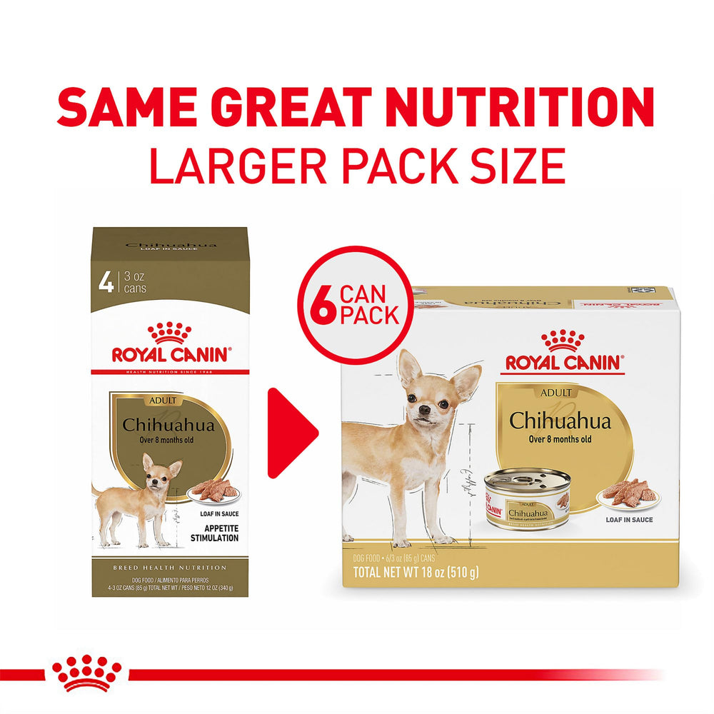 Royal Canin Chihuahua Loaf in Sauce served in a bowl for appealing texture