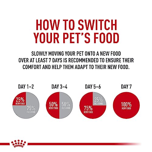Bulk 24-pack box of Royal Canin Digestive Care ready for regular feeding.