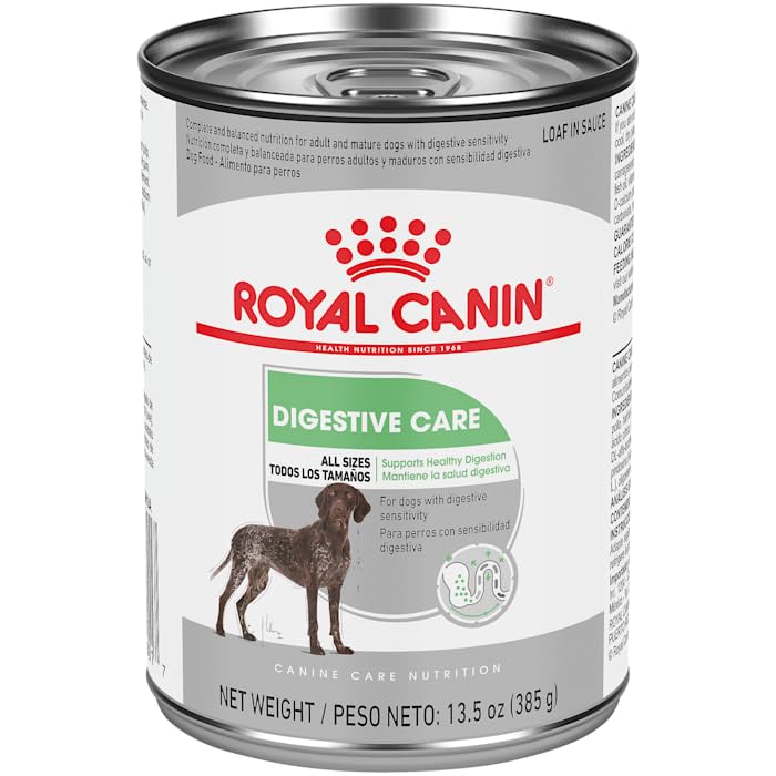 Royal Canin Digestive Care dry and wet food mix idea for variety.