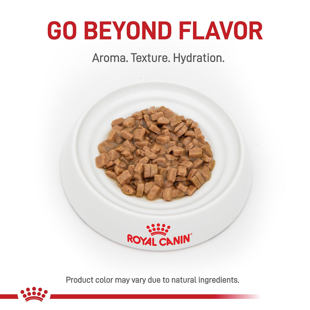 Close-up on gravy texture to enhance palatability for cats.