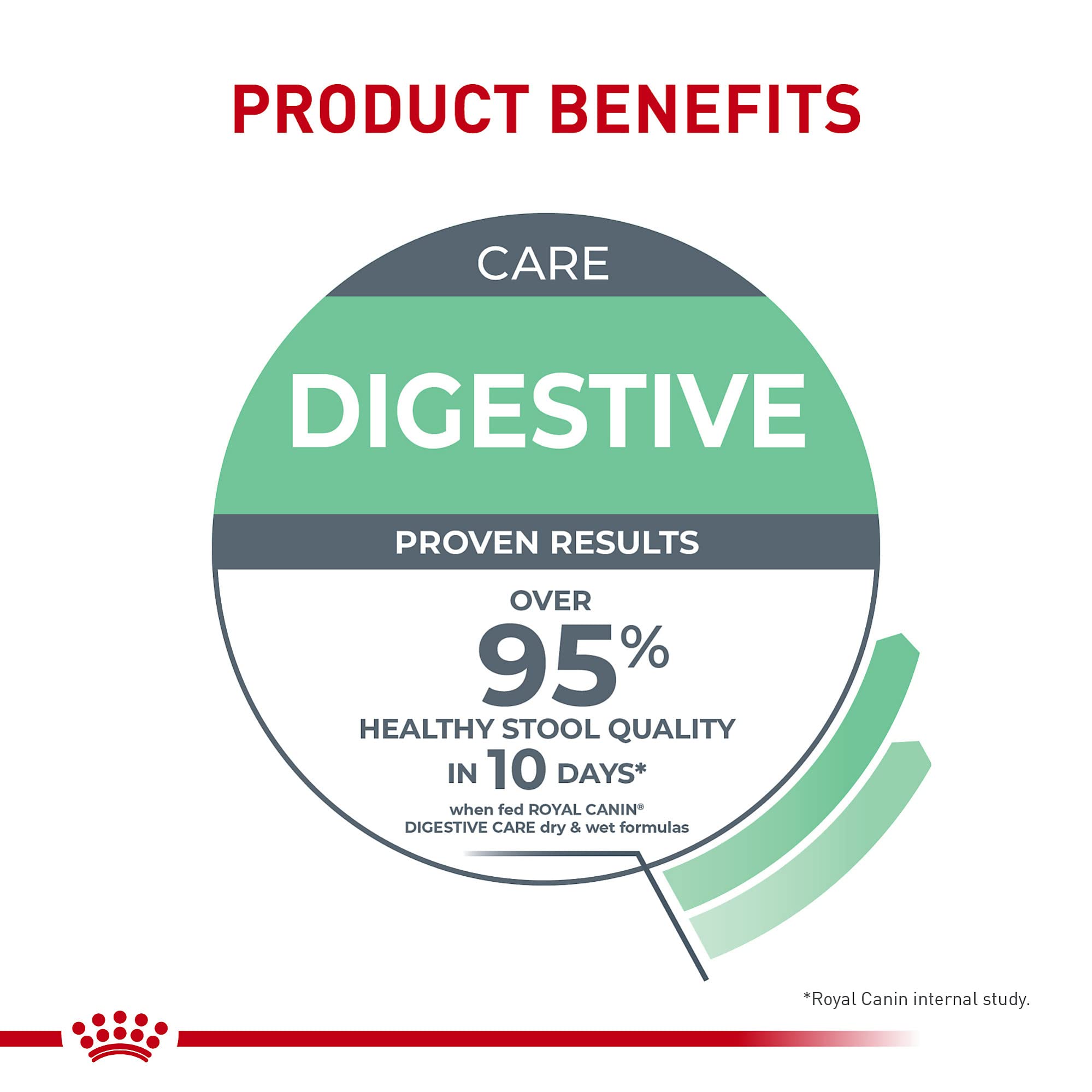 Serving bowl of Royal Canin Digestive Care for an adult cat at mealtime.
