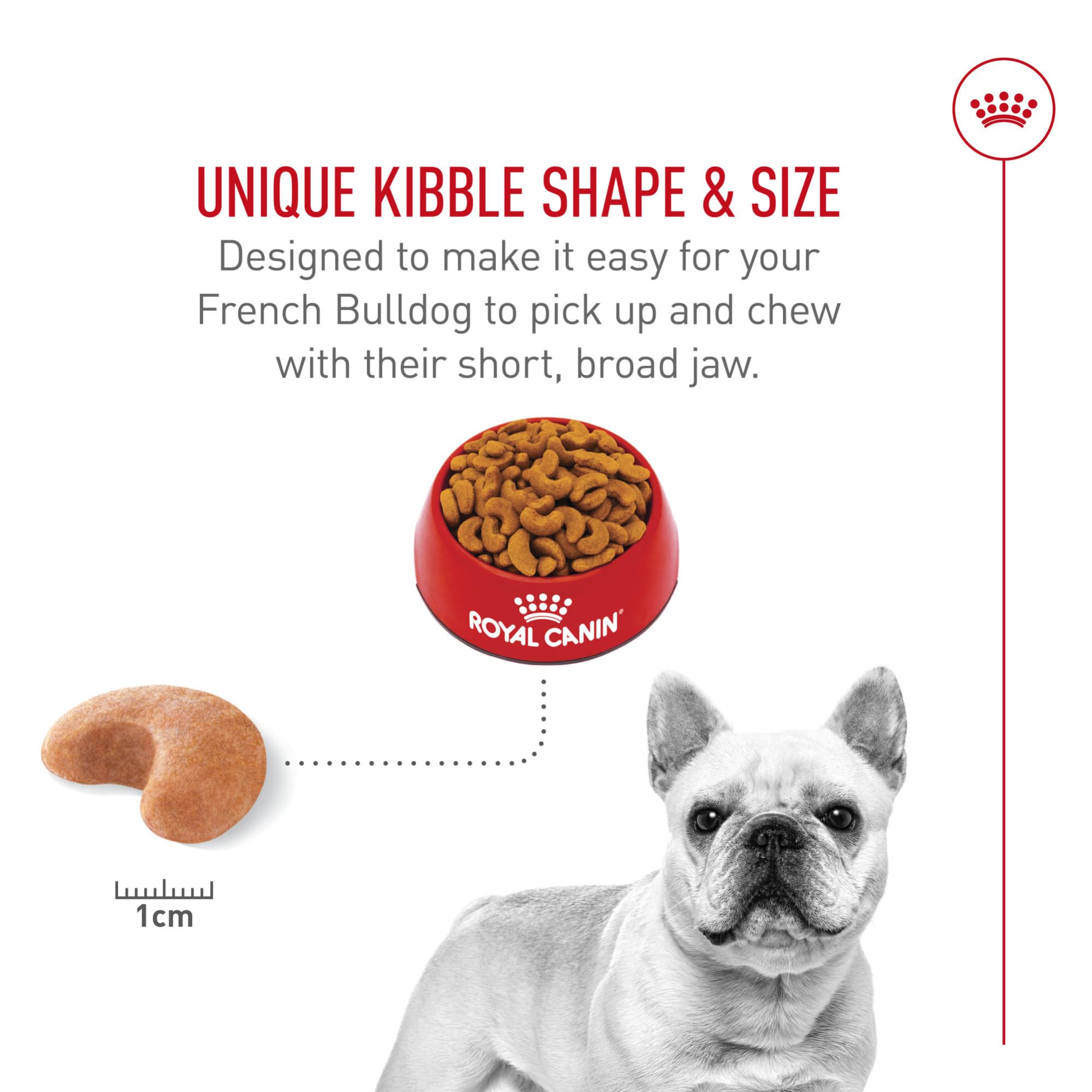 Royal Canin digestive health image emphasizing highly digestible proteins and fibers.