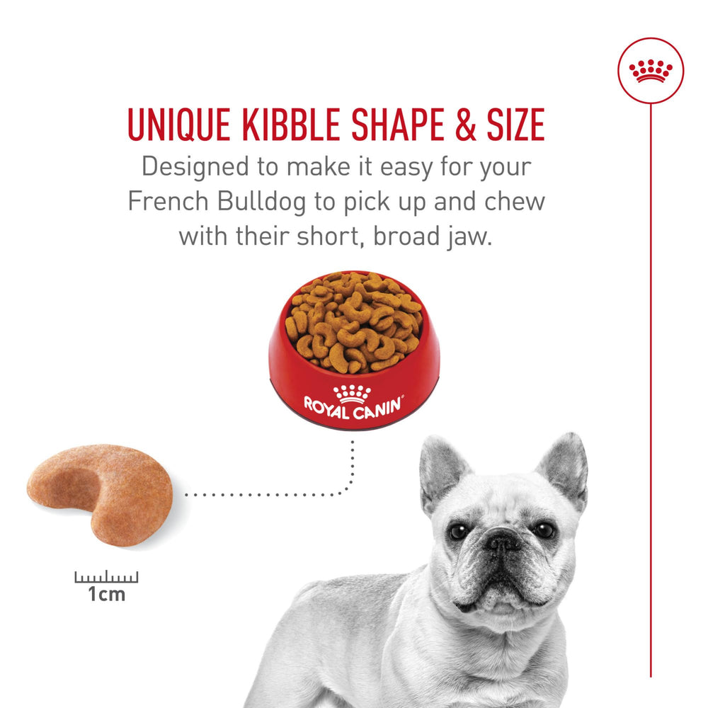 Royal Canin digestive health image emphasizing highly digestible proteins and fibers.