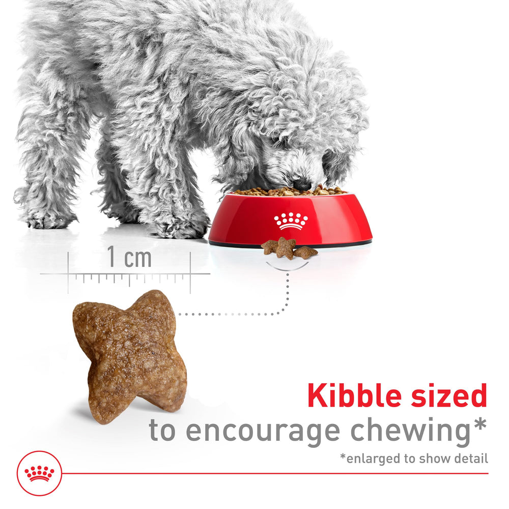 Royal Canin kibble texture closeup highlighting crisp bite for small dogs.