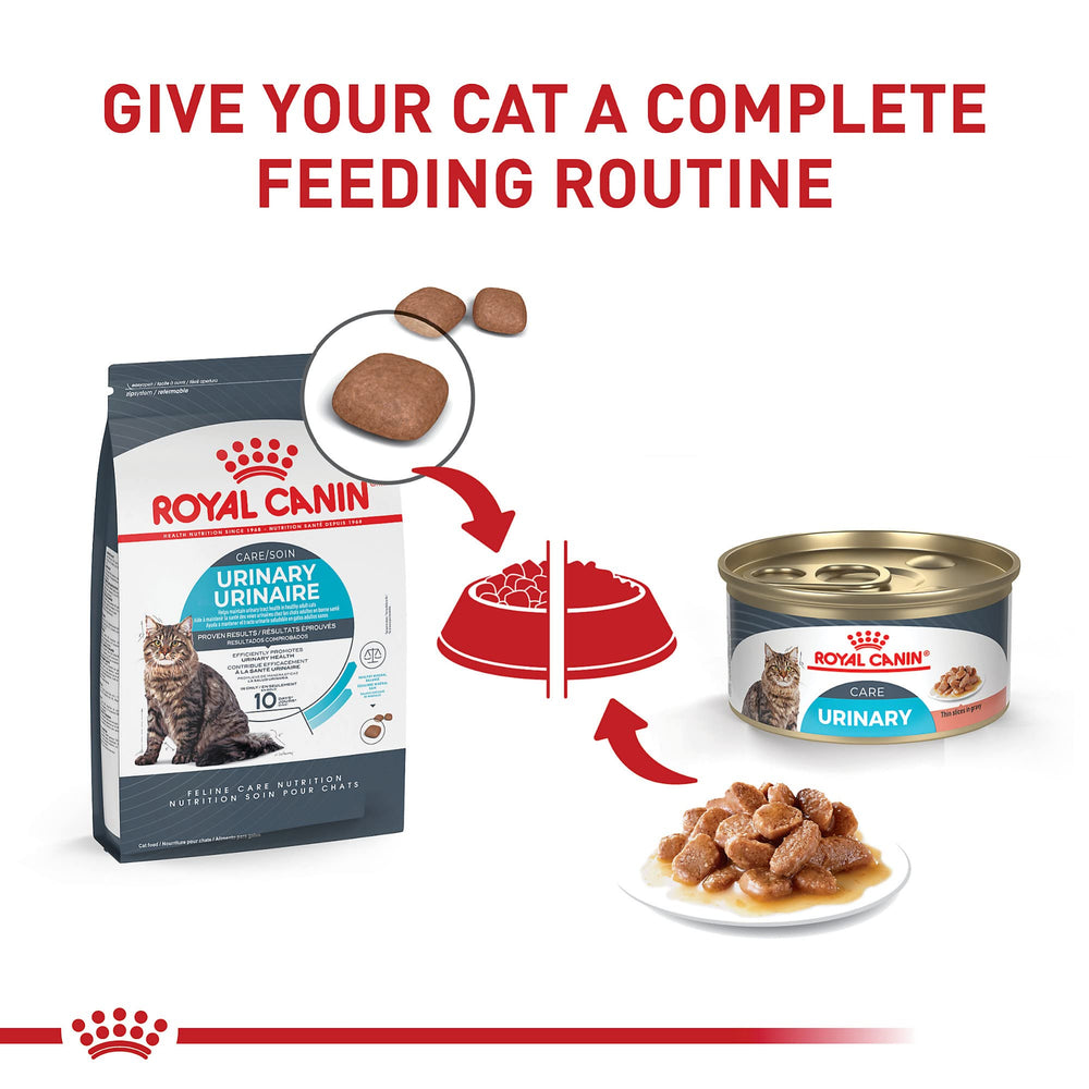 ROYAL CANIN Feline Care Nutrition Gravy Slices highlight appealing texture.
