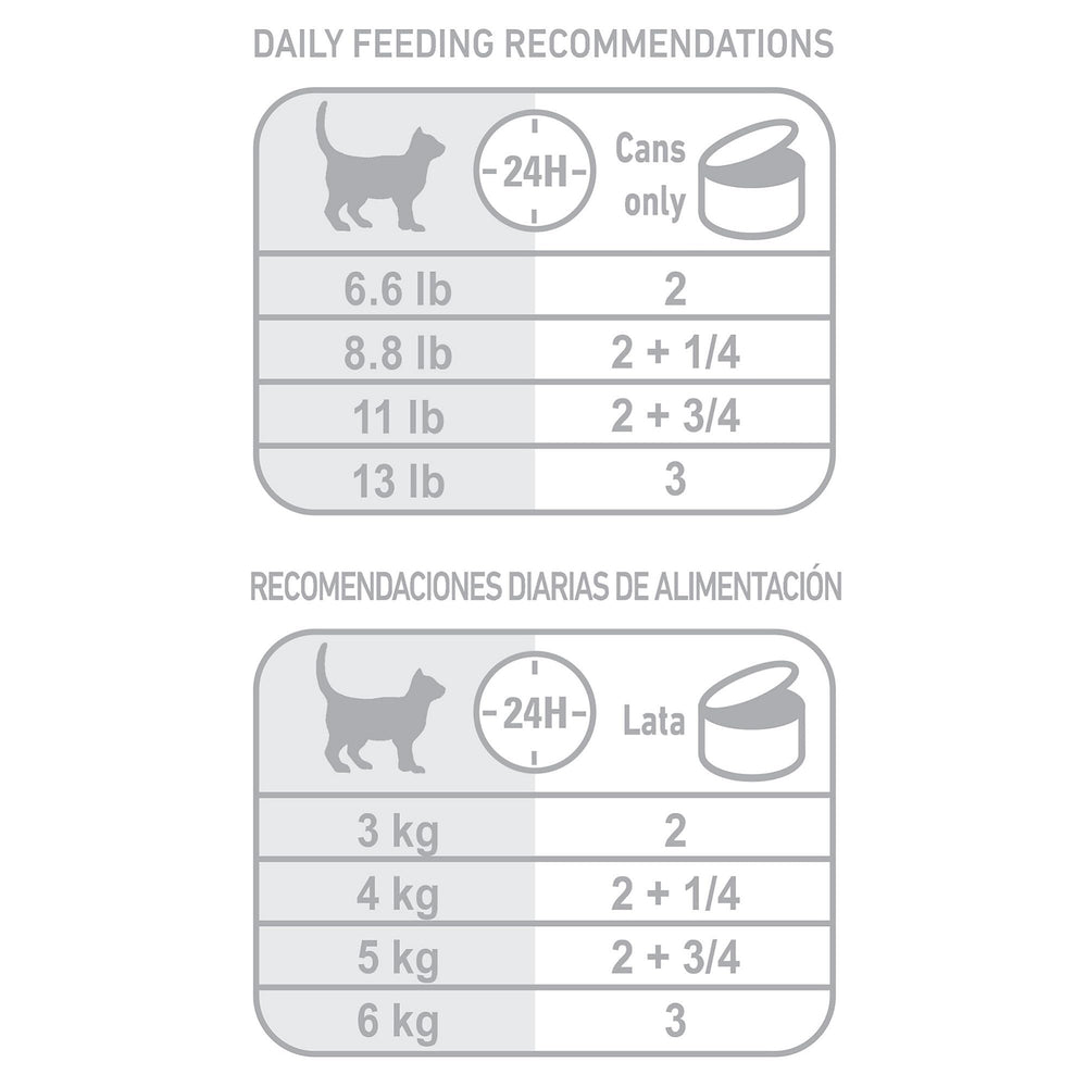 Pack of ROYAL CANIN Feline Health Nutrition 24 cans for indoor cats