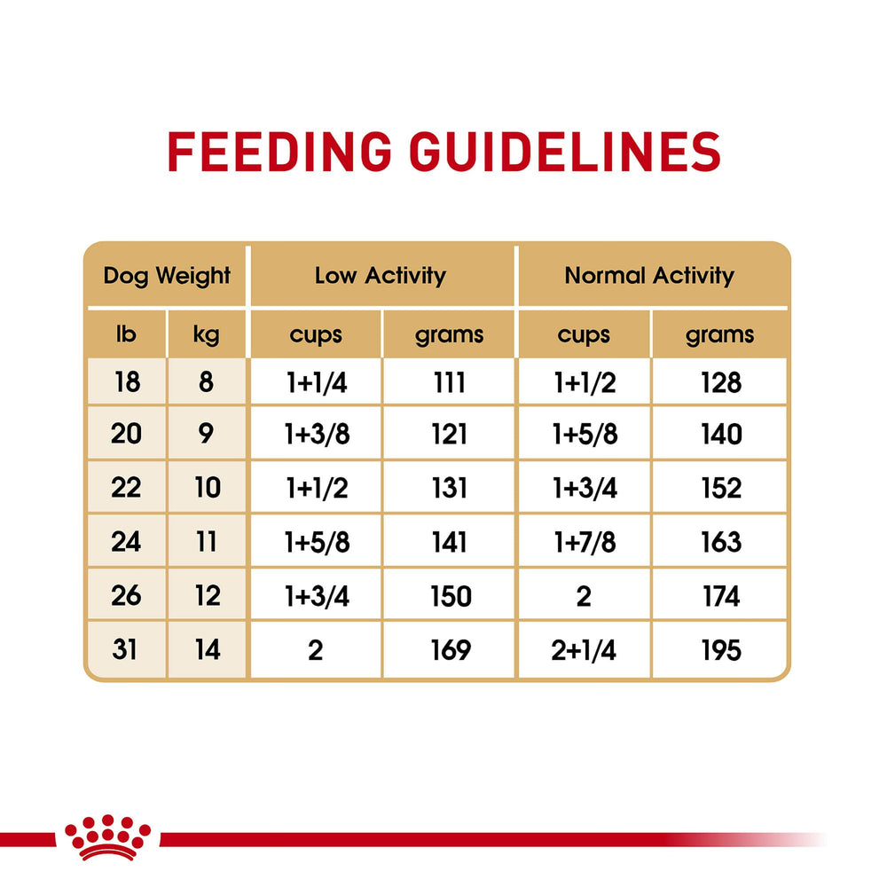 Royal Canin dog eating from bowl illustrating easy-to-chew kibble for short muzzles.