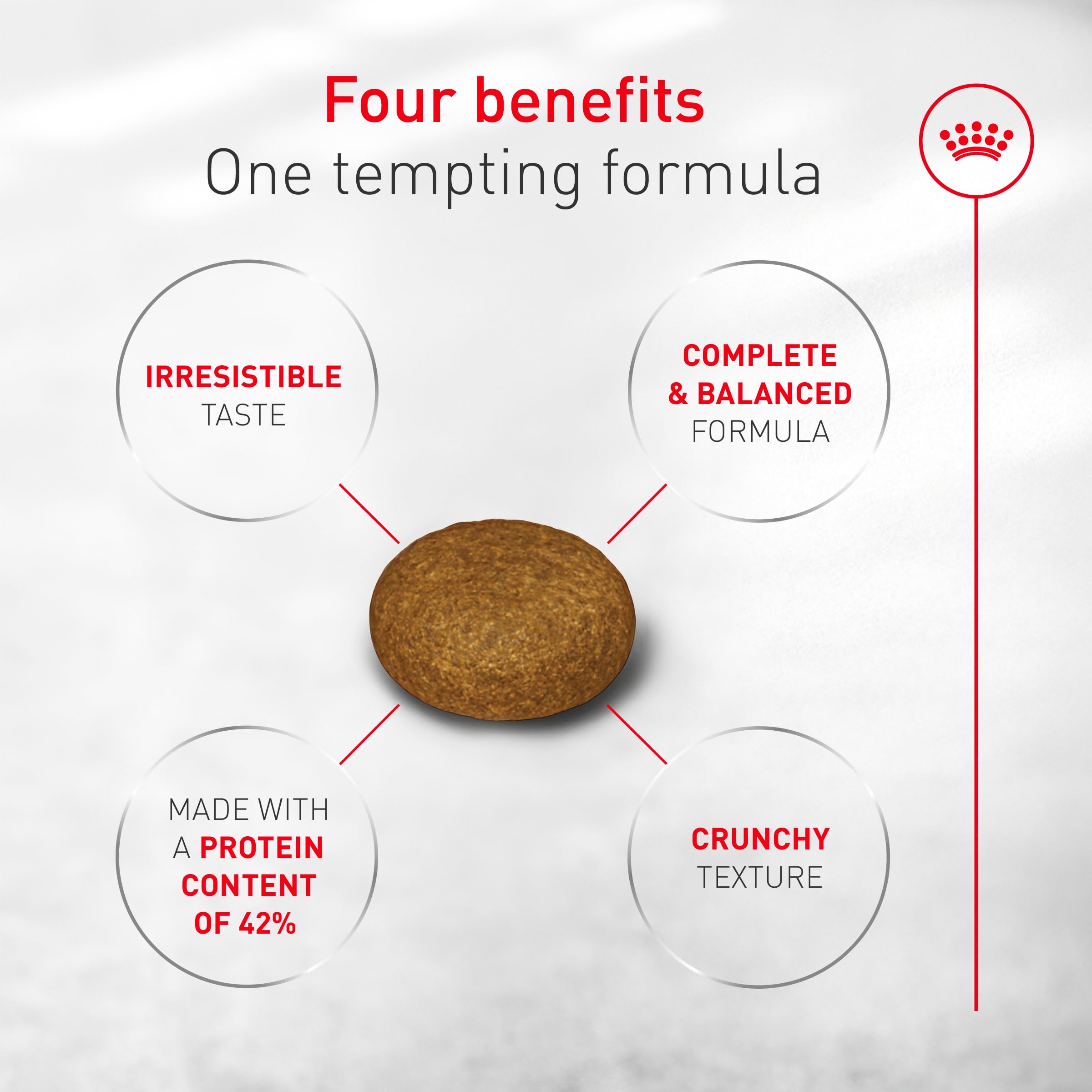 ROYAL CANIN Fussy 7 lb bag shown with feeding guidance on-pack.