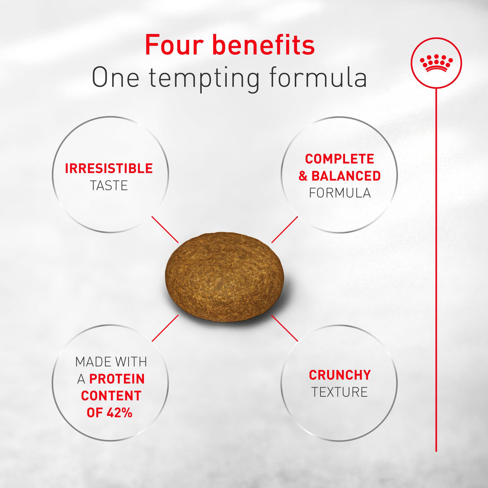 ROYAL CANIN Fussy 7 lb bag shown with feeding guidance on-pack.