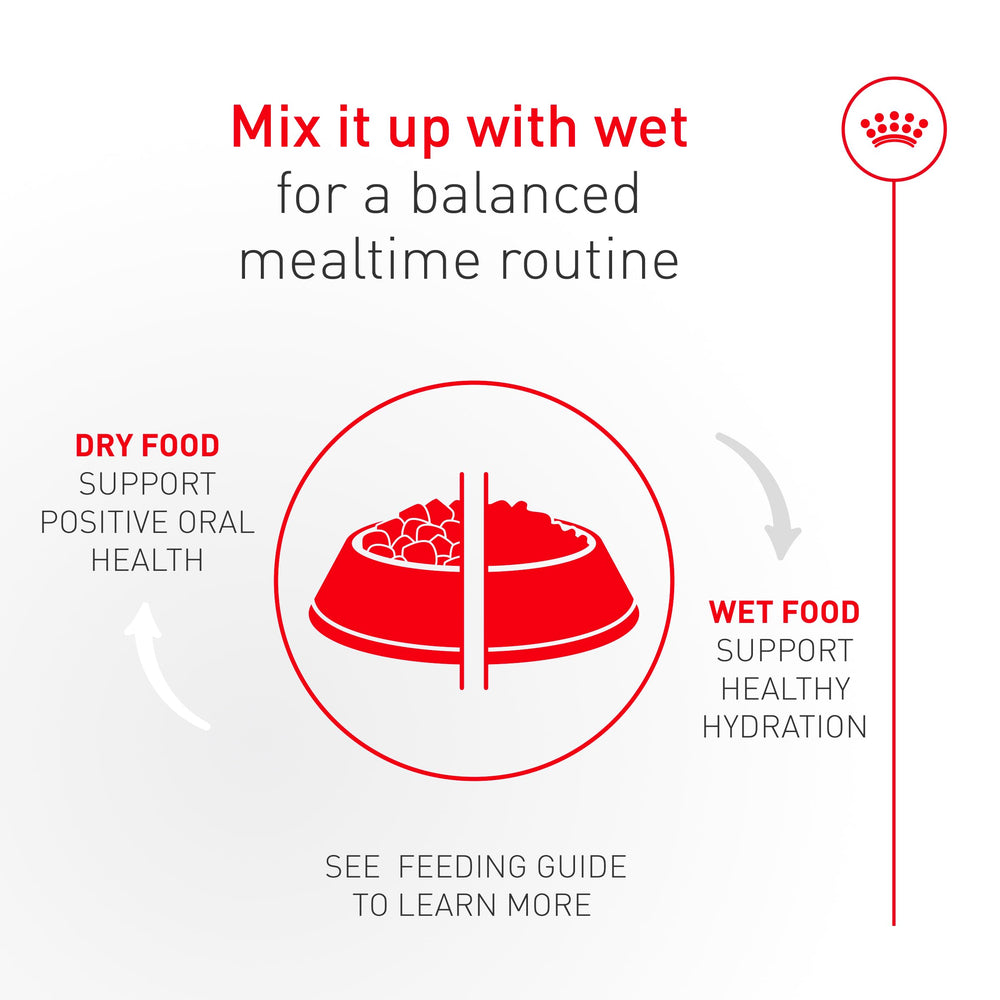 ROYAL CANIN Fussy daily-use nutrition in practical packaging.