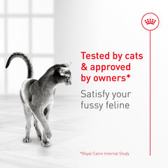 ROYAL CANIN Fussy for indoor-outdoor cats, ready for mixed feeding.