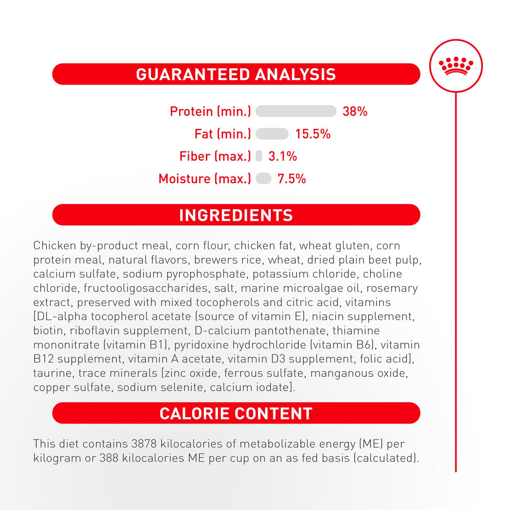 ROYAL CANIN Fussy high-protein kibble close-up.