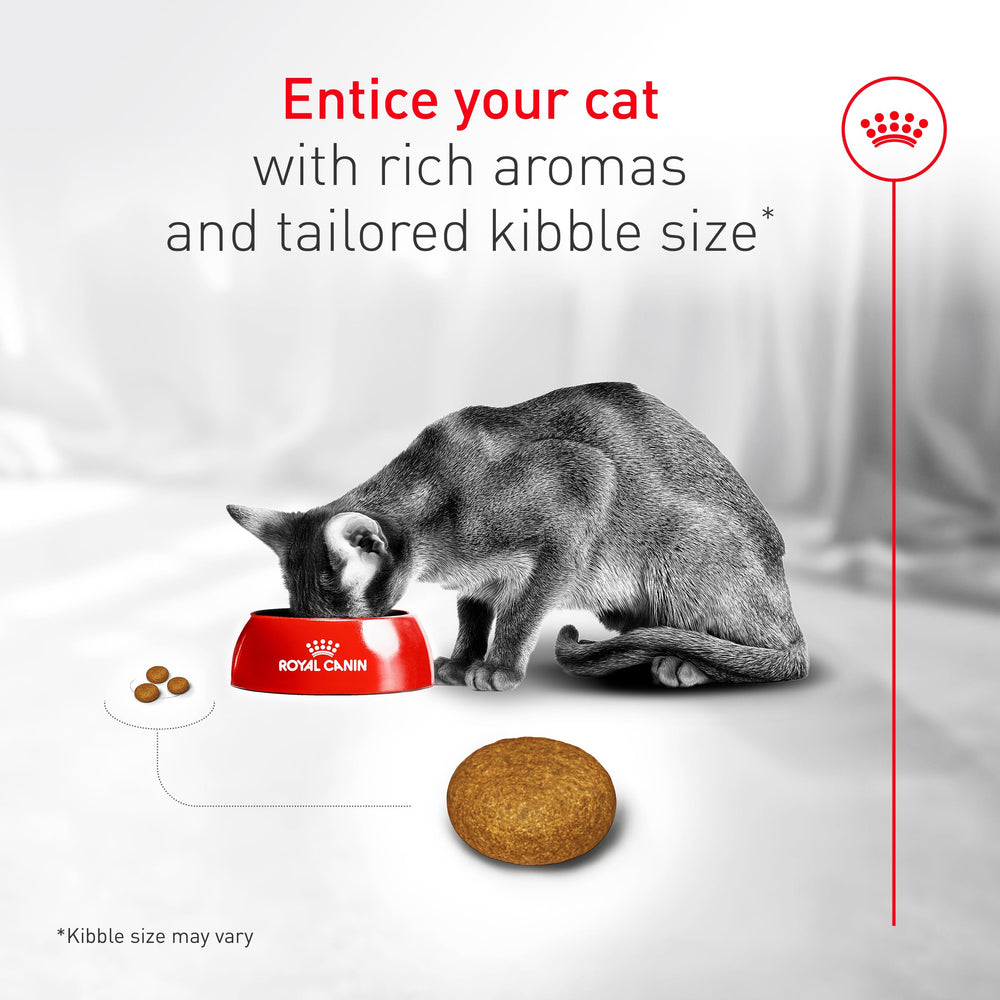 ROYAL CANIN Fussy poultry-based kibble highlighting protein and flavor in each bite.
