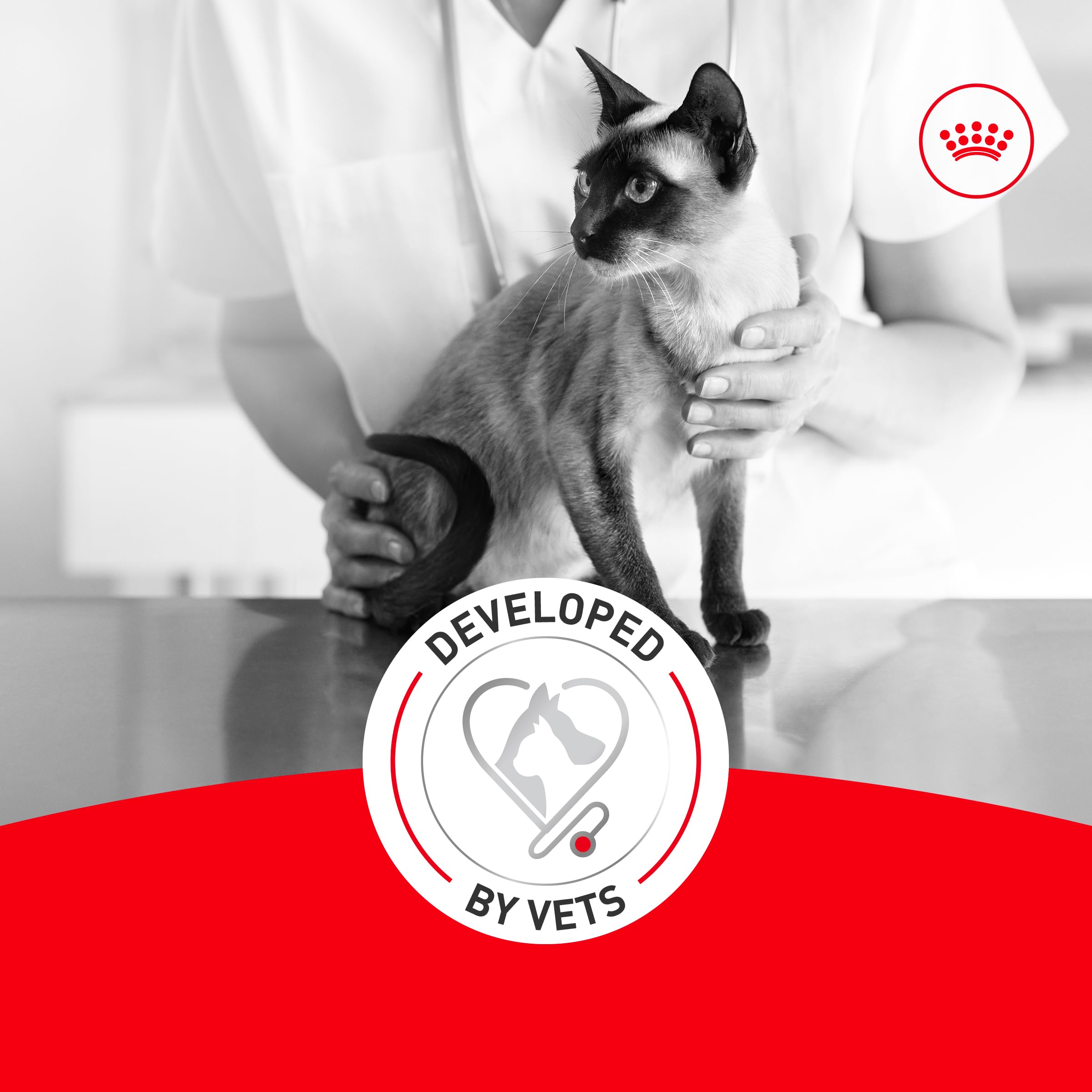 ROYAL CANIN Fussy transition guidance for easy changeover.