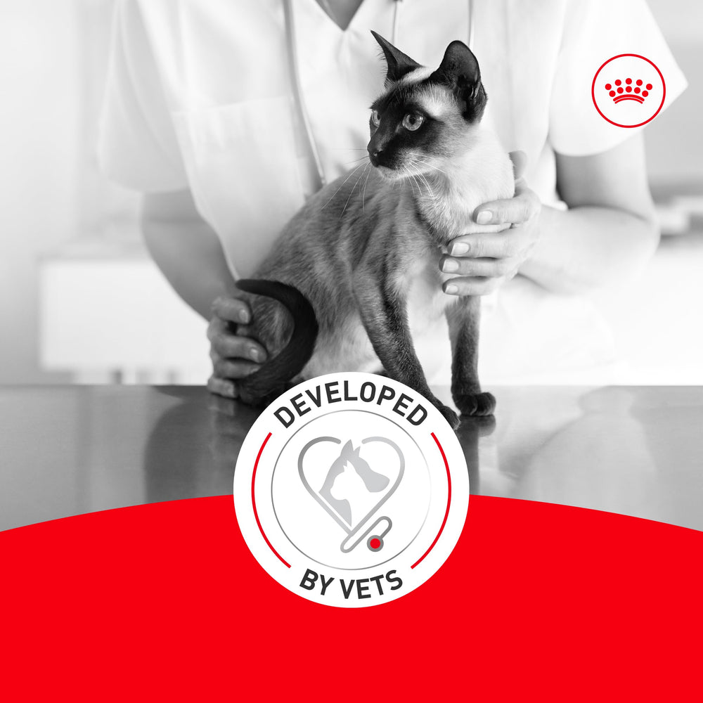 ROYAL CANIN Fussy transition guidance for easy changeover.