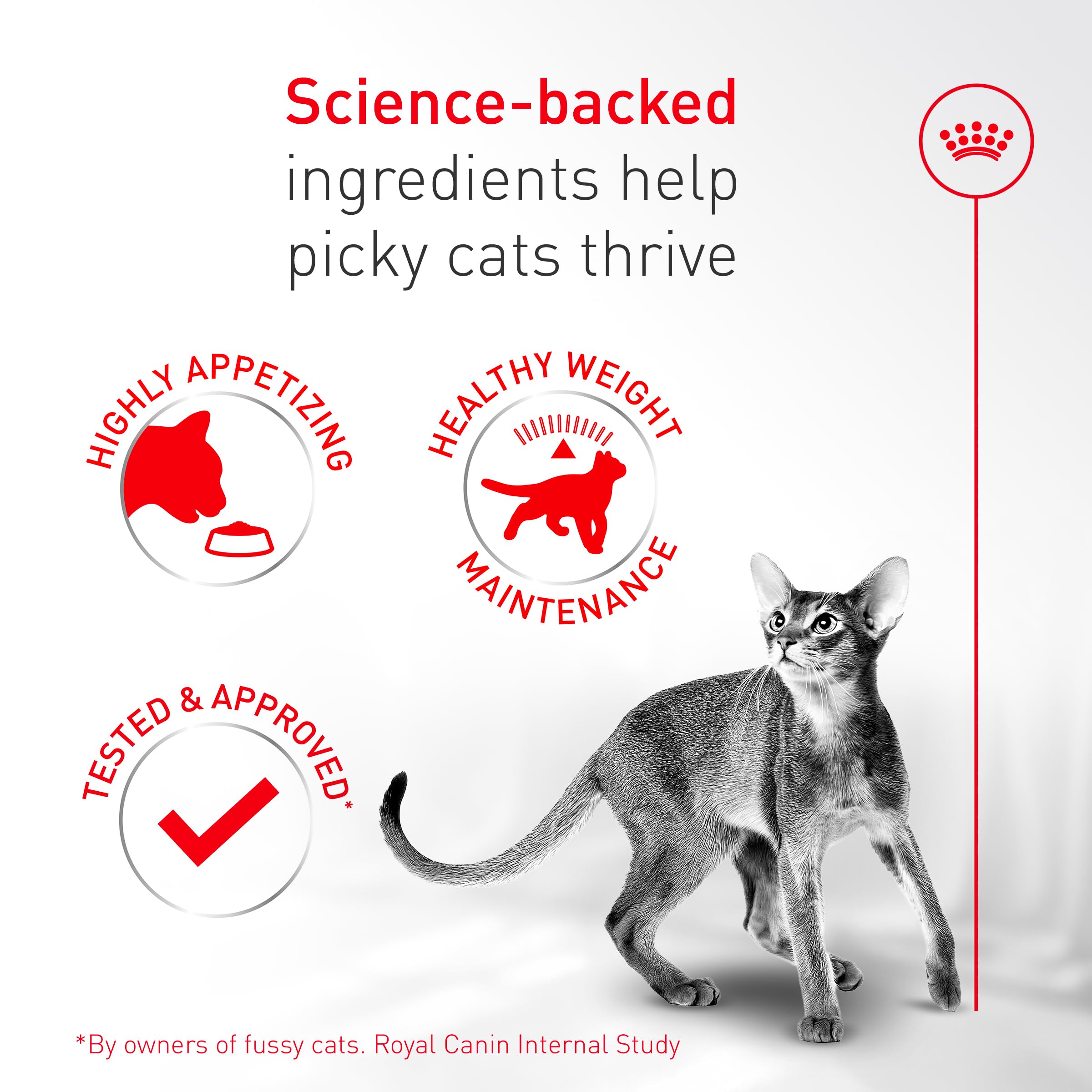 ROYAL CANIN Fussy serving with wet food option for variety and hydration.