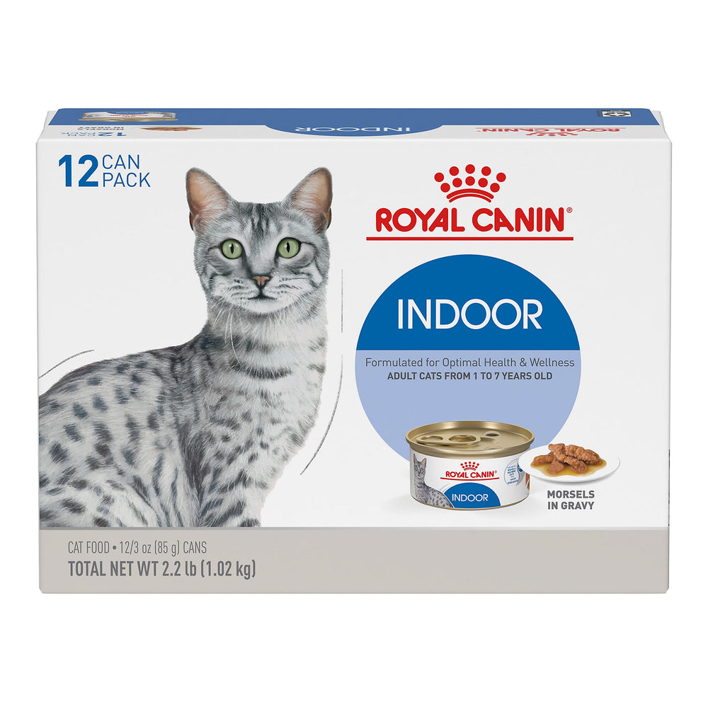 Royal Canin Indoor Morsels in Gravy bowl scene, highlighting appealing texture for indoor cats.