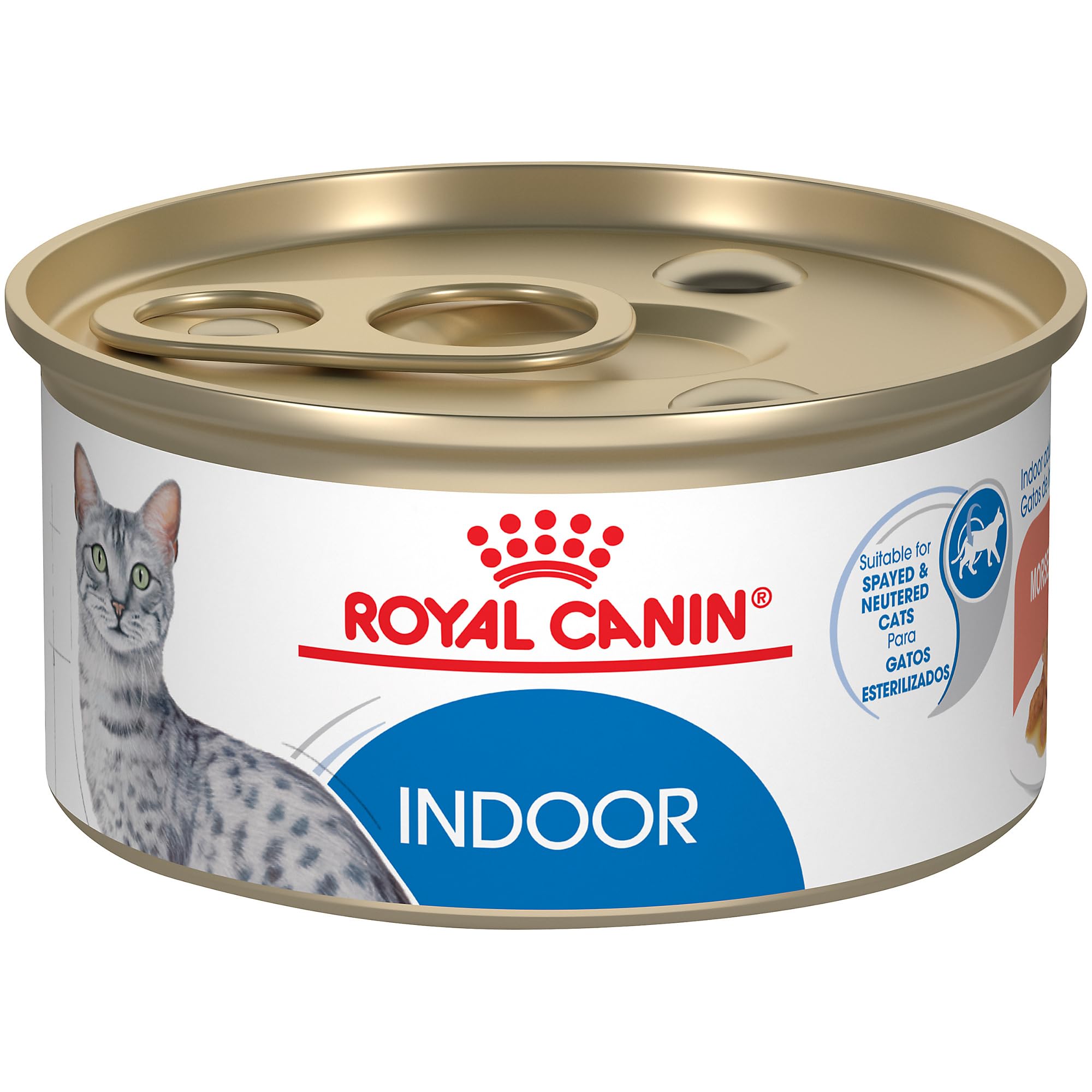 ROYAL CANIN Indoor Morsels in Gravy packshot showing the product and packaging