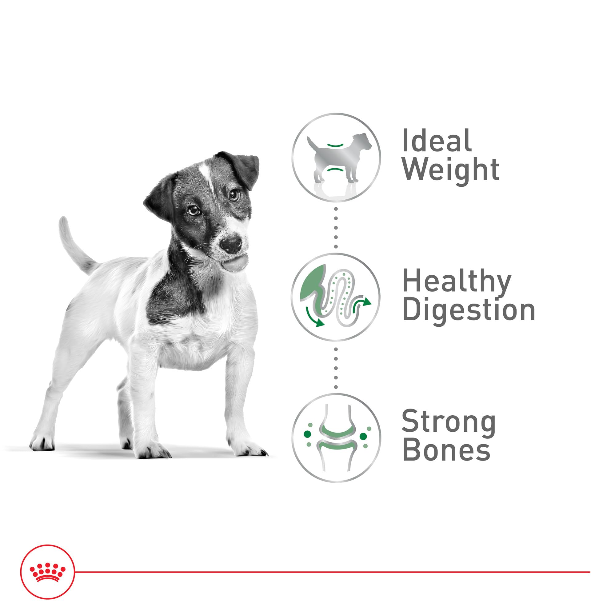 Royal Canin label closeup showing calcium and phosphorus balance.