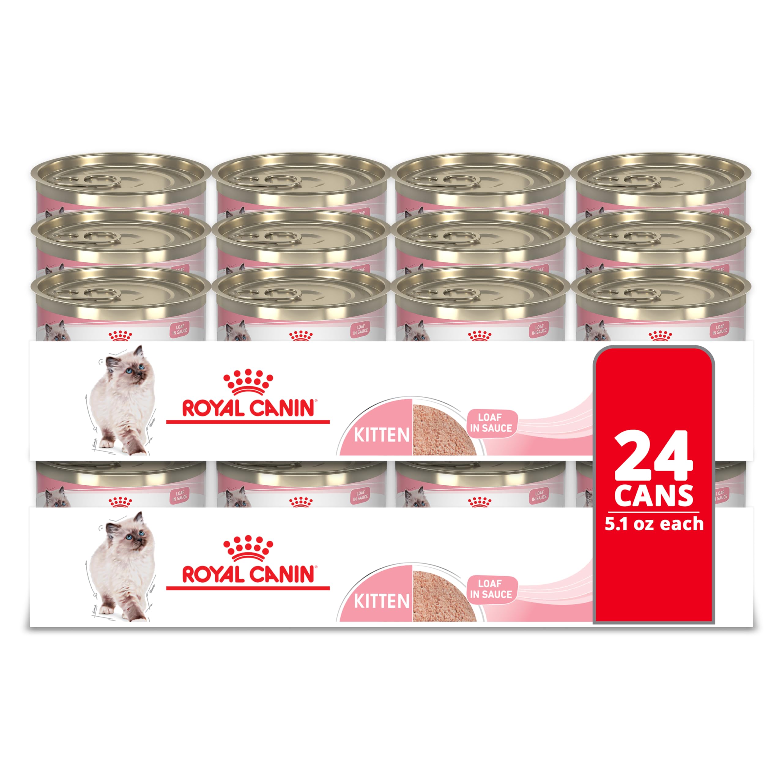 Royal Canin Kitten Loaf in Sauce can front, convenient wet meal.
