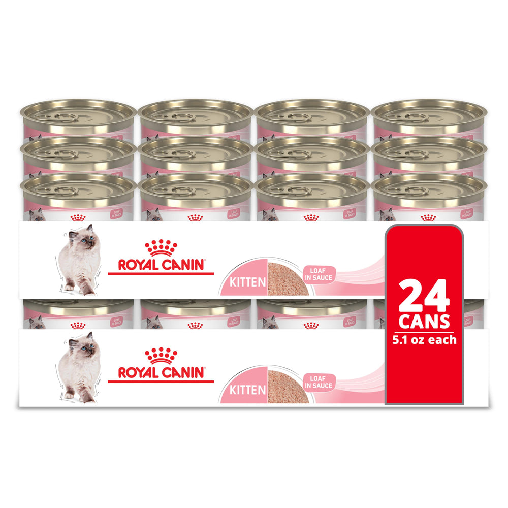 Royal Canin Kitten Loaf in Sauce can front, convenient wet meal.